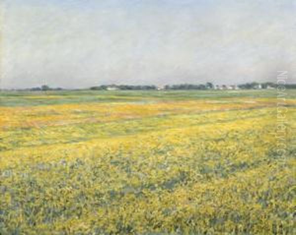 La Plaine De Gennevilliers, Champs Jaunes Oil Painting by Gustave Caillebotte