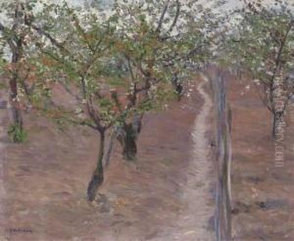 Verger, Arbres En Fleurs, Petit Gennevilliers Oil Painting by Gustave Caillebotte