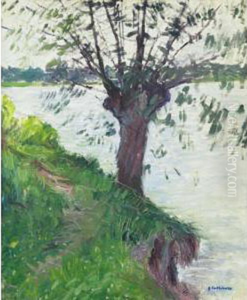 Saule Au Bord De La Seine Oil Painting by Gustave Caillebotte