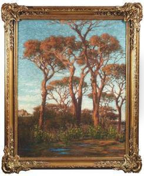 Gerolamo . Summery Landscape With Italian Stone Pines And Gorse Oil Painting by Girolamo Cairati