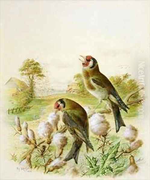 Goldfinches on thistles Oil Painting by Harry Bright