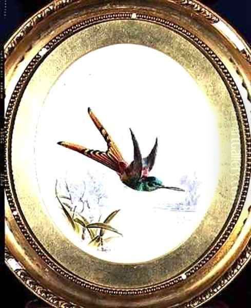 Sappho Cornel, hummingbird Oil Painting by Harry Bright