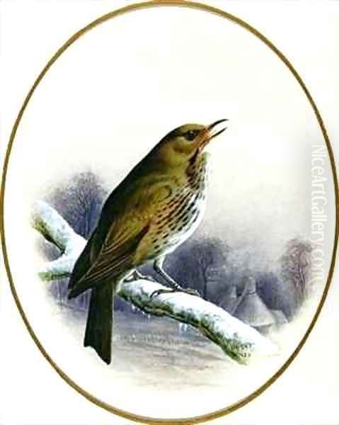 Song Thrush Oil Painting by Harry Bright