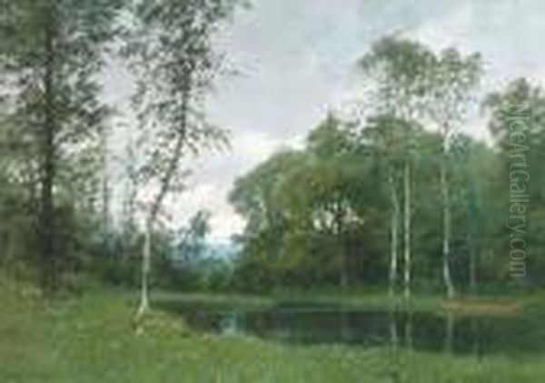 A Quiet Pond In A Forest Clearing Oil Painting by Marco Calderini