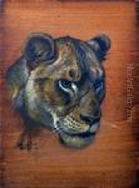 Study Of A Lion's Head Oil Painting by Edmund Caldwell