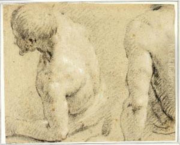 Study Of The Torso And Head Of A
 Man Leaning To The Left, And Another Study Of A Shoulder Oil Painting by Carletto Carliari