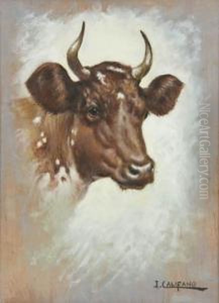 Toro Oil Painting by John, Giovanni Califano