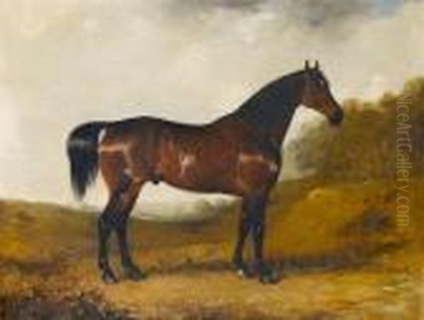 A Chestnut Hunter Standing In An Open Wooded Landscape Oil Painting by Henry Calvert