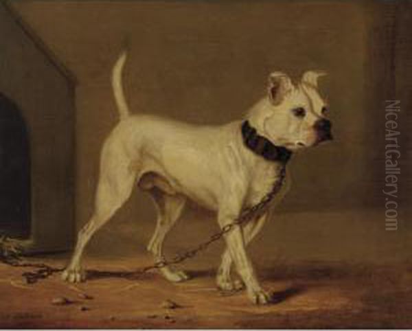 Boxer Oil Painting by Henry Calvert