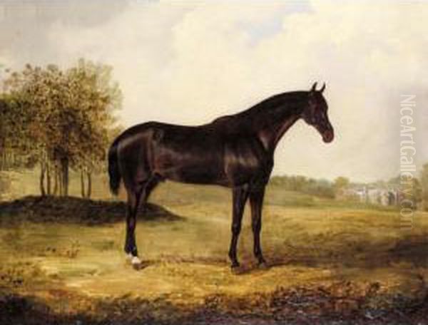 Bay Horse In A Landscape Oil Painting by Henry Calvert