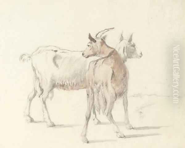 Study of goats Oil Painting by Coplestone Warre Bampfylde