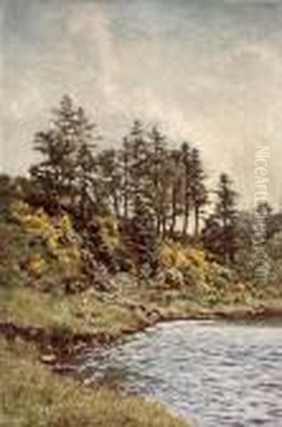 Broomie Braes, Banks Of The Lyon Oil Painting by Duncan Cameron