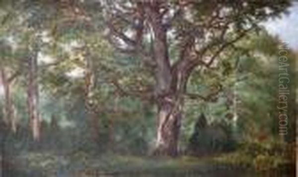 Alberi Oil Painting by Michele Cammarano