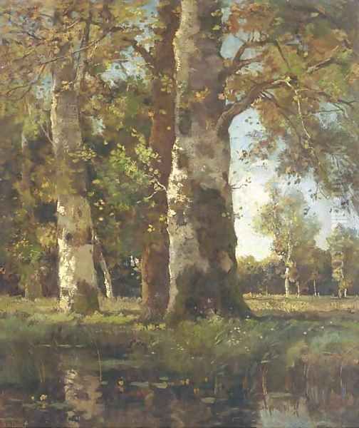 Beuken stammen sunlit beeches by a pond Oil Painting by Theophile Emile Achille De Bock