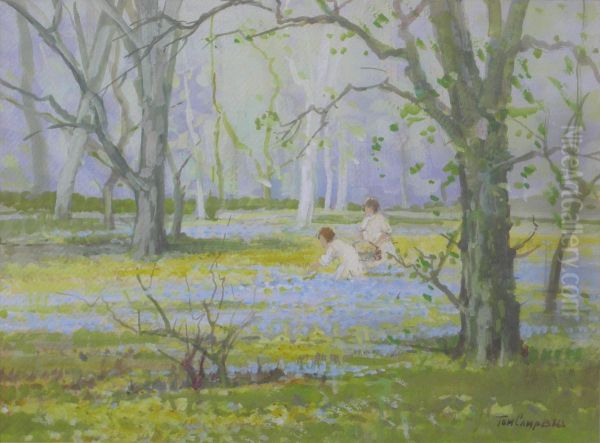 In The Bluebell Woods Oil Painting by Thomas, Tom Campbell