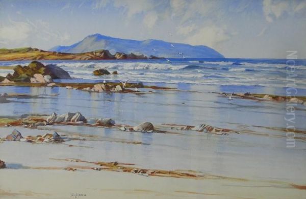 Whale Island, Sound Of Hoy, Wet Sands Hebrides Oil Painting by Thomas, Tom Campbell