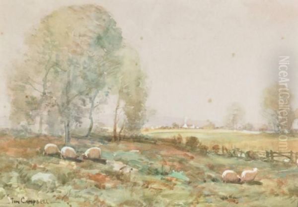 Sheepin Extensive Landscape Oil Painting by Thomas, Tom Campbell