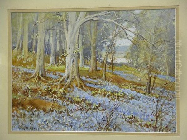 Blue Bell Woods Oil Painting by Thomas, Tom Campbell