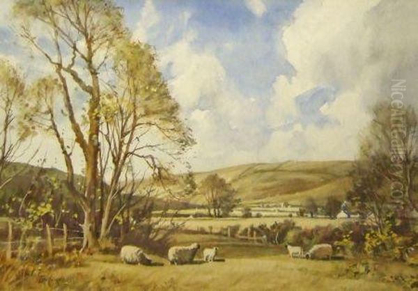 Springtime Near Pinwherry Oil Painting by Thomas, Tom Campbell