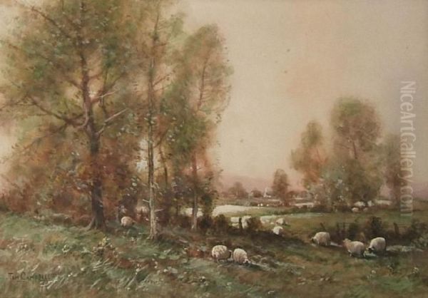 A Rural Landscape, Sheep Grazing By A Copse - Oil Painting by Thomas, Tom Campbell