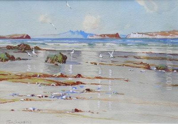 The Brown Isles - Lewis Oil Painting by Thomas, Tom Campbell