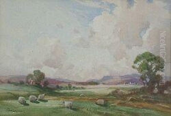 Sheep Grazing In Pasture Oil Painting by Thomas, Tom Campbell