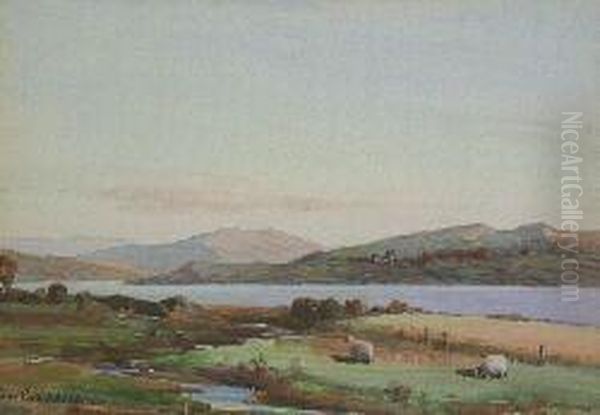 Sheep On A Riverbank Oil Painting by Thomas, Tom Campbell