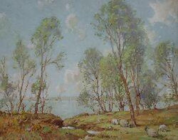 Sheep Grazing By An Estuary Oil Painting by Thomas, Tom Campbell