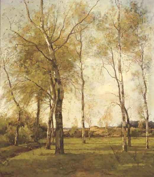 Schaapskooi - October birch trees by the dunes in autumn Oil Painting by Theophile Emile Achille De Bock