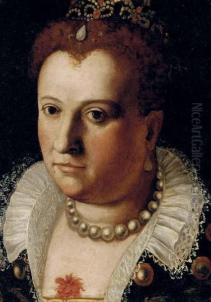 Portrait Of A Noblewoman Oil Painting by Bernardino Campi