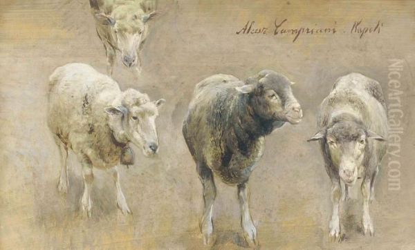 Sheep Studies Oil Painting by Alceste Campriani