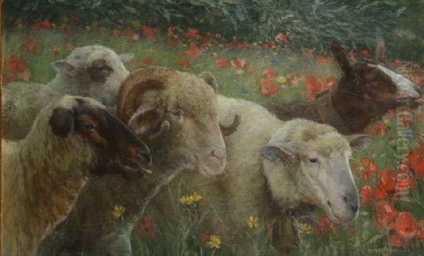 Gregge In Un Campo Di Papaveri Oil Painting by Alceste Campriani