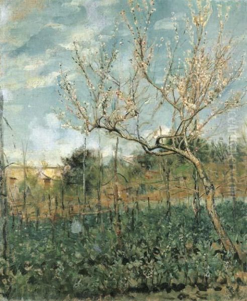 Paesaggio Con Pesco Fiorito Oil Painting by Alceste Campriani