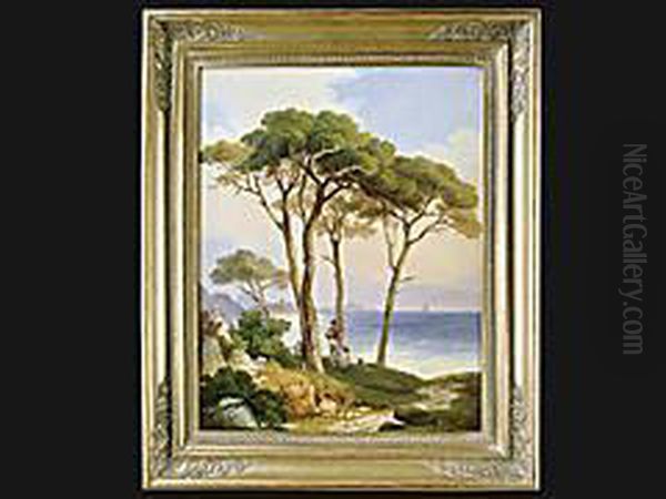 Italienische Kustenlandschaft Bei Neapel Oil Painting by Jacob Canciani