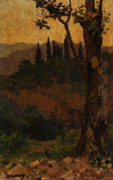 Campagna Toscana Oil Painting by Nicolo Cannicci