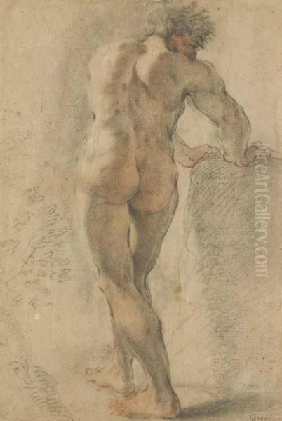 A Standing Nude, Seen From Behind, Leaning On A Block Oil Painting by Domenico Maria Canuti