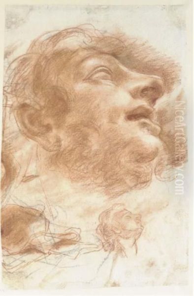 Head Of A Man Looking Up, In 
Profile To The Right, With Asubsidiary Study Of The Same (recto); Two 
Studies Of A Bowl(verso) Oil Painting by Domenico Maria Canuti