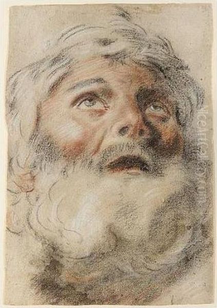 Head Of A Bearded Man Looking Upwards Oil Painting by Domenico Maria Canuti