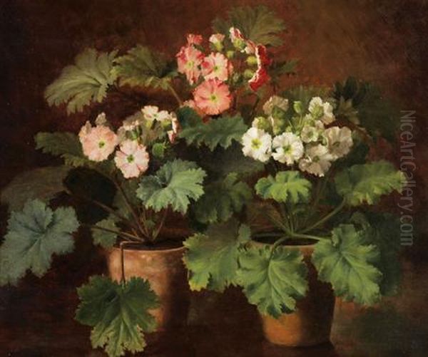 Belgian - Still Life With Pottedplants Oil Painting by Jean Capeinick