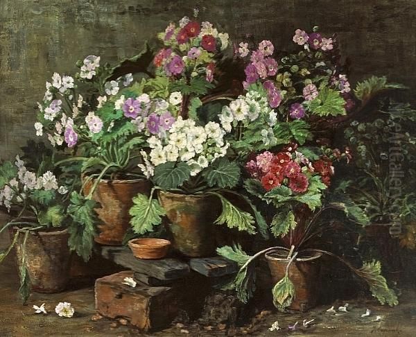 A Still Life Of African Violets In A Greenhouse Oil Painting by Jean Capeinick