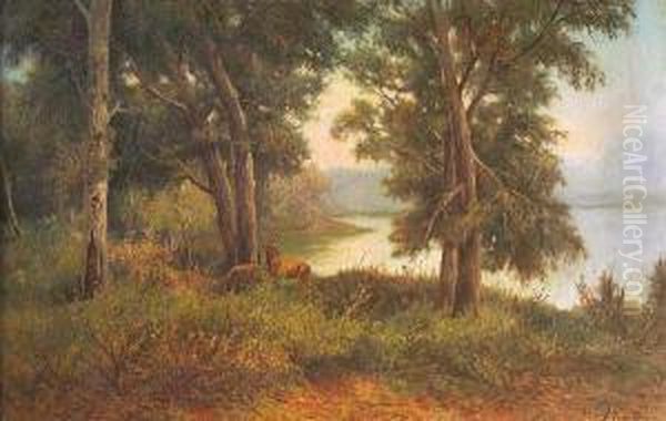 Escena De Bosque Con Ciervos Oil Painting by Francesco Capuano