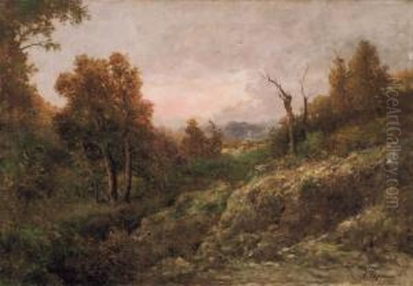 Paesaggio Oil Painting by Francesco Capuano