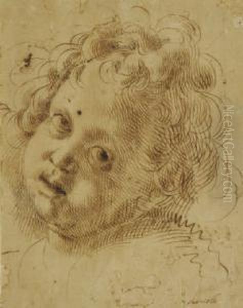 Putto Oil Painting by Giovanni Battista Caracciolo