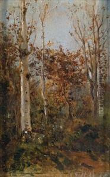 Herbstliche Waldlandschaft Oil Painting by Filippo Carcano