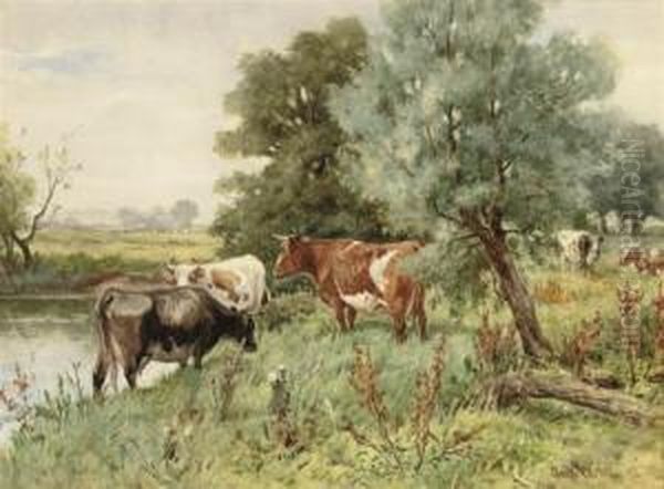 Cows Grazing By A River Bank Oil Painting by Claude Cardon