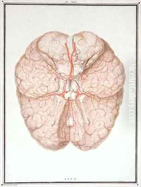 The Brain, from 'Traite d'Anatomie de Cerveau' Oil Painting by Alexandre Briceau