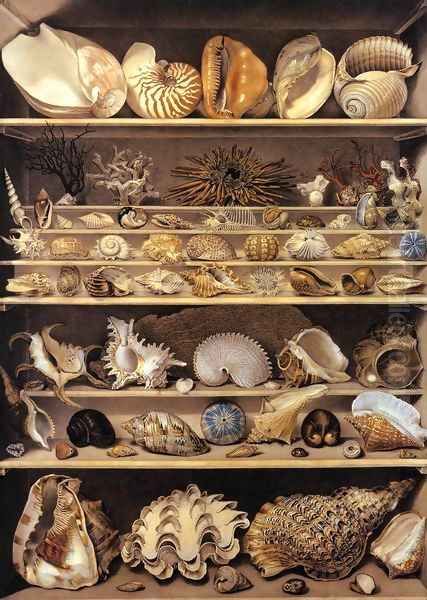 Selection of Shells Arranged on Shelves Oil Painting by Alexandre-Isidore Leroy De Barde