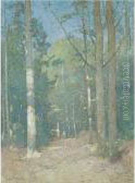 Afternoon Sunlight Oil Painting by Emil Carlsen