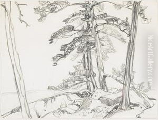 Pine And Rocks, La Cloche Oil Painting by Franklin Carmichael