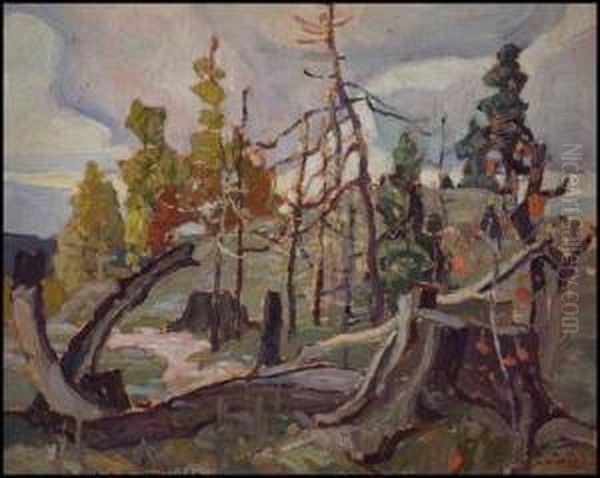 Sketch 6 (tree Stump) Oil Painting by Franklin Carmichael